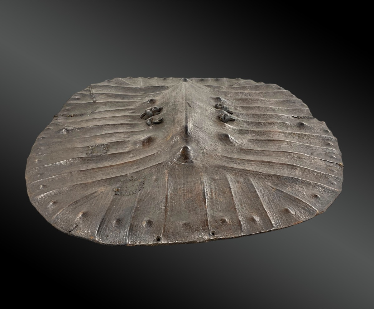 Chawa Shield Oromo Culture, Ethiopia First Half Of The 20th Century-photo-2