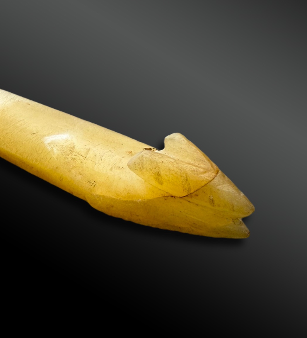 Fishing Hook - Solomon Islands - Late 19th - Early 20th Century -photo-3