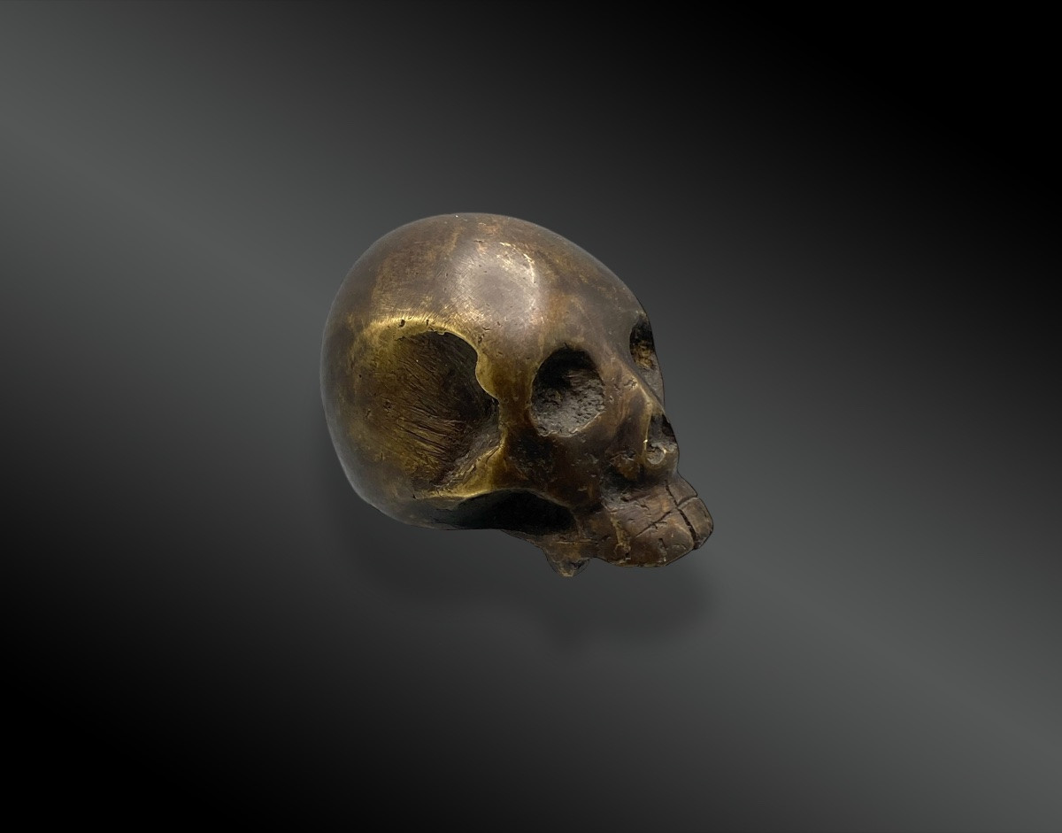 Crâne, Vanité. Cire perdue. Europe, XXème siècle-photo-4
