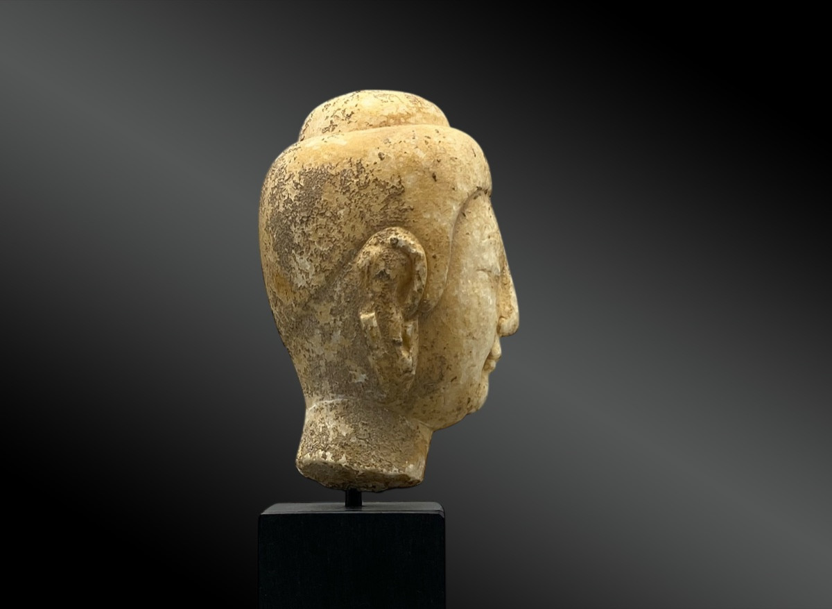 Head Of Buddha - China, Sui Dynasty, Late 6th – Early 7th Century-photo-3