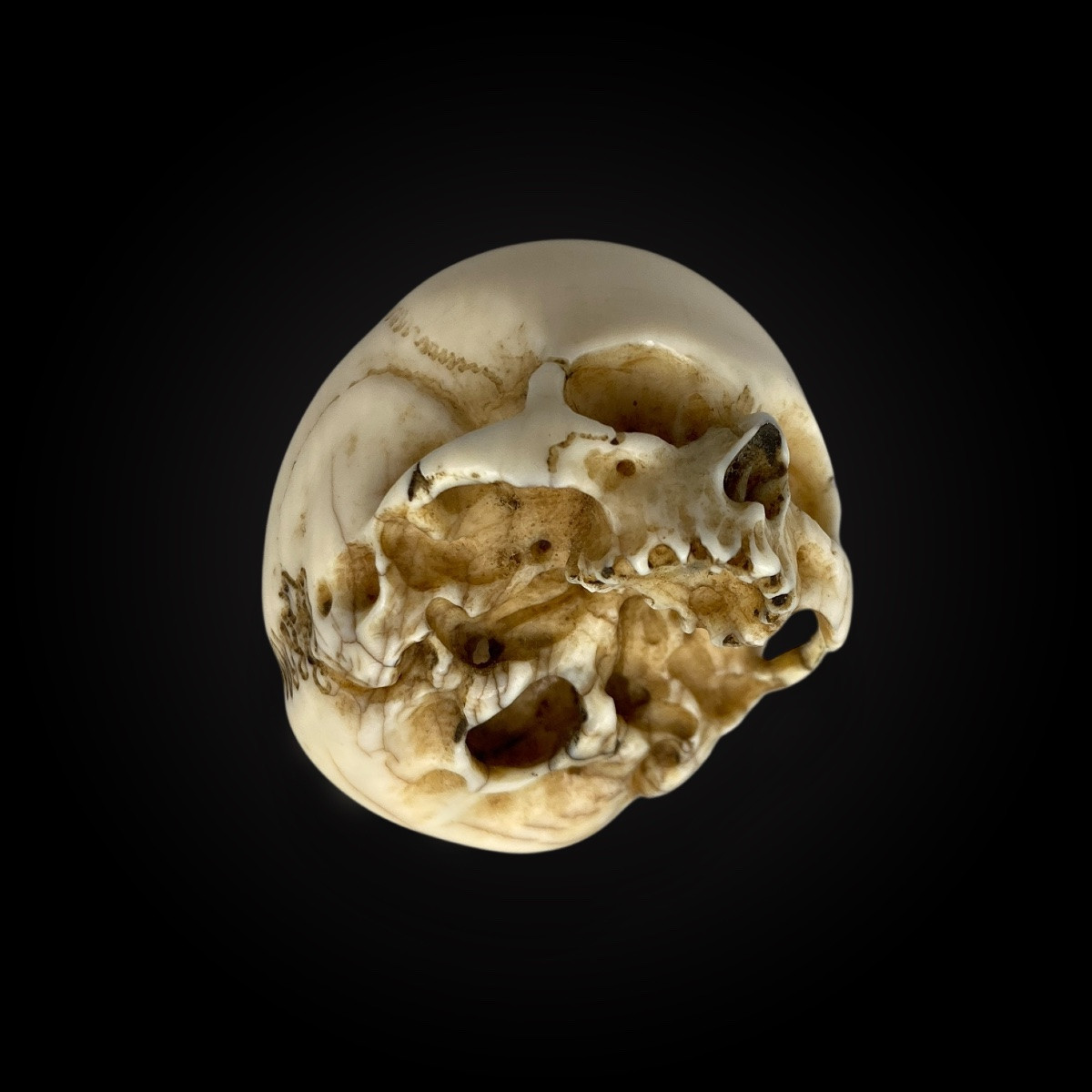 Memento Mori – Skull – Vanity Germany, 18th Century – Cites Provided-photo-3
