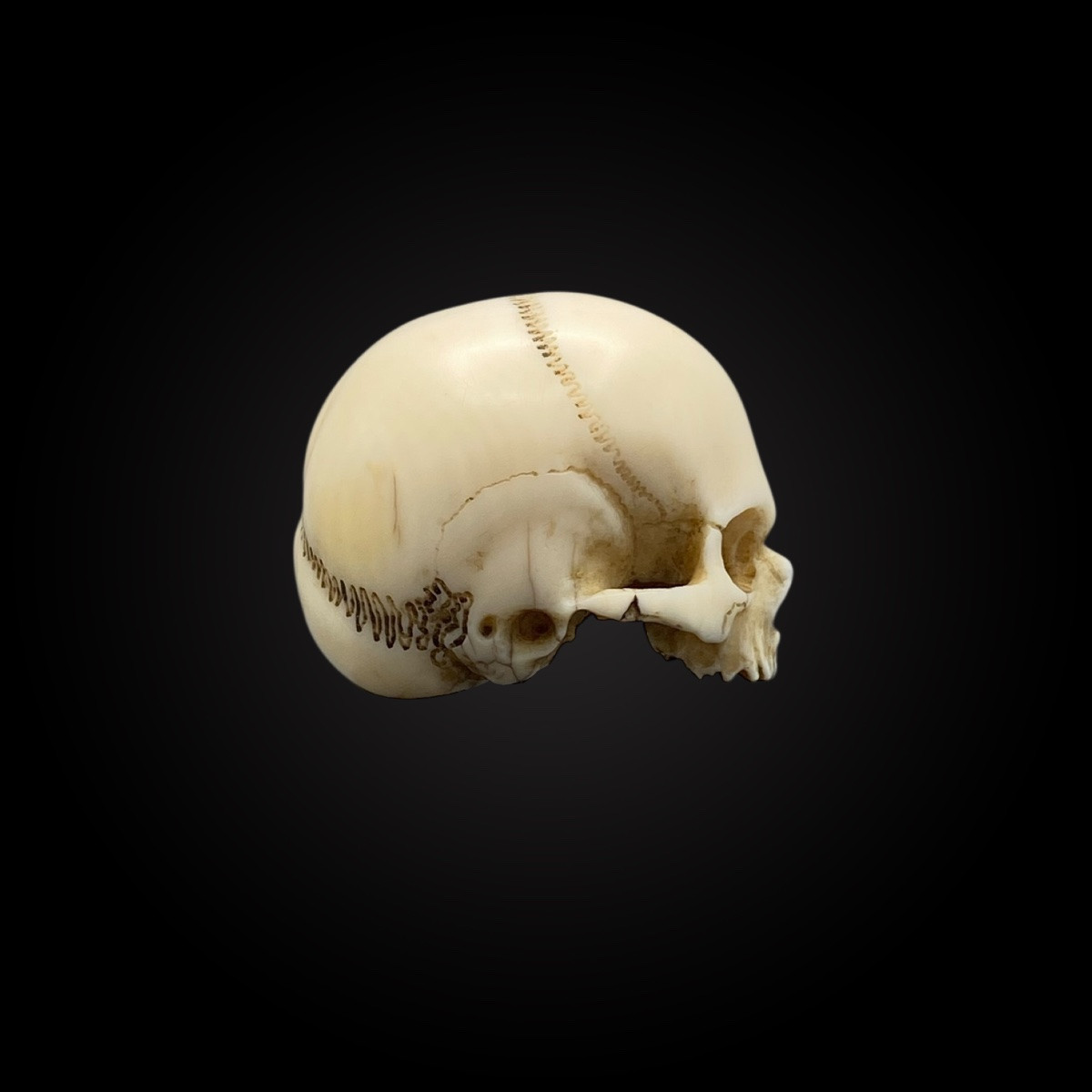 Memento Mori – Skull – Vanity Germany, 18th Century – Cites Provided-photo-4