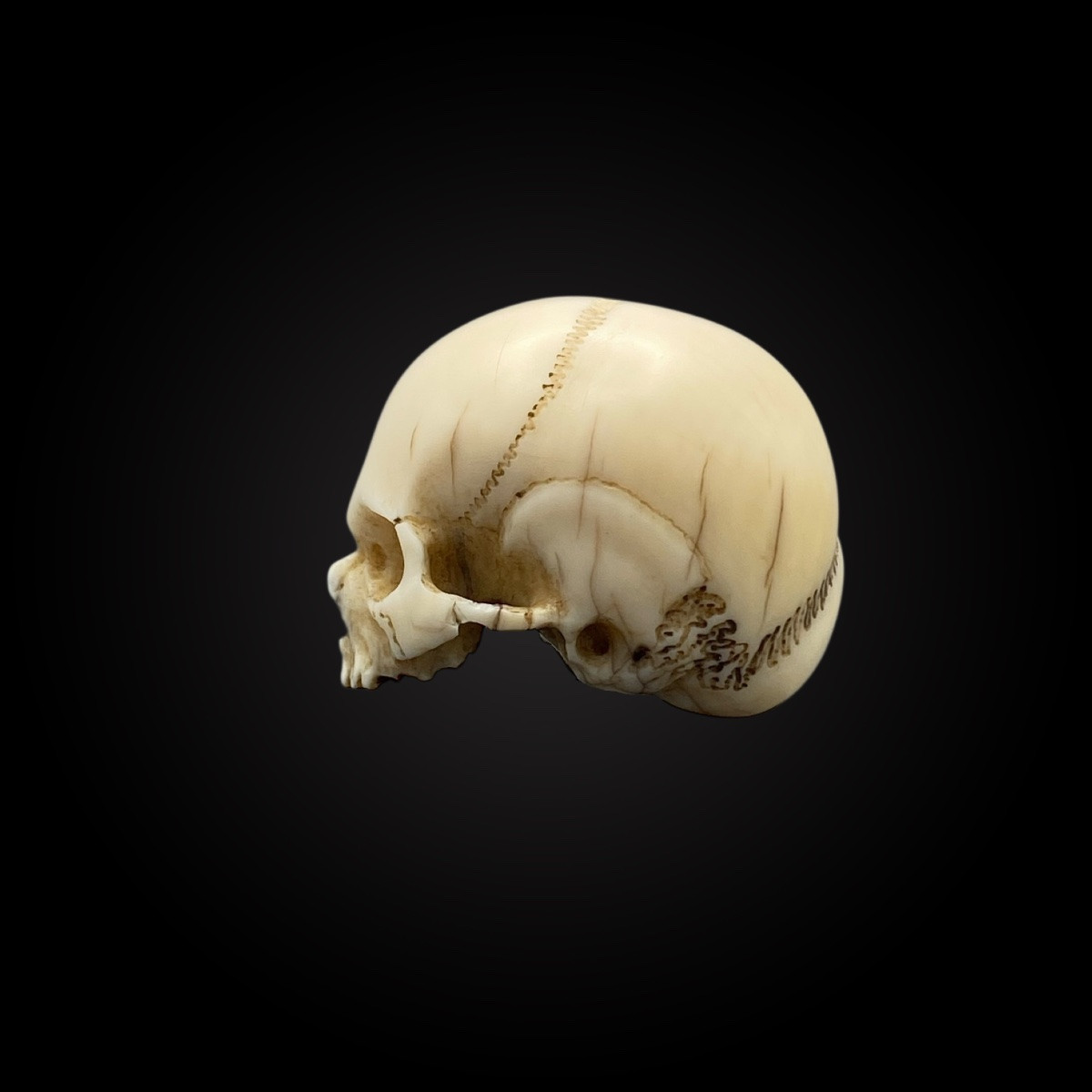 Memento Mori – Skull – Vanity Germany, 18th Century – Cites Provided-photo-1