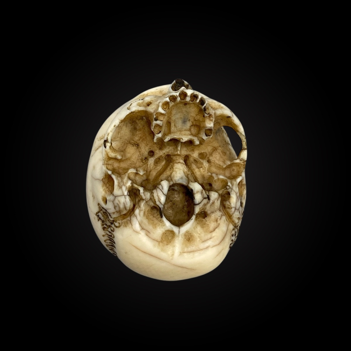Memento Mori – Skull – Vanity Germany, 18th Century – Cites Provided-photo-2
