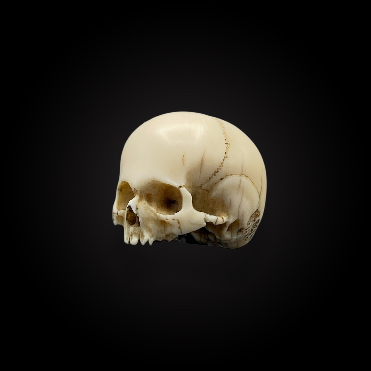 Memento Mori – Skull – Vanity Germany, 18th Century – Cites Provided