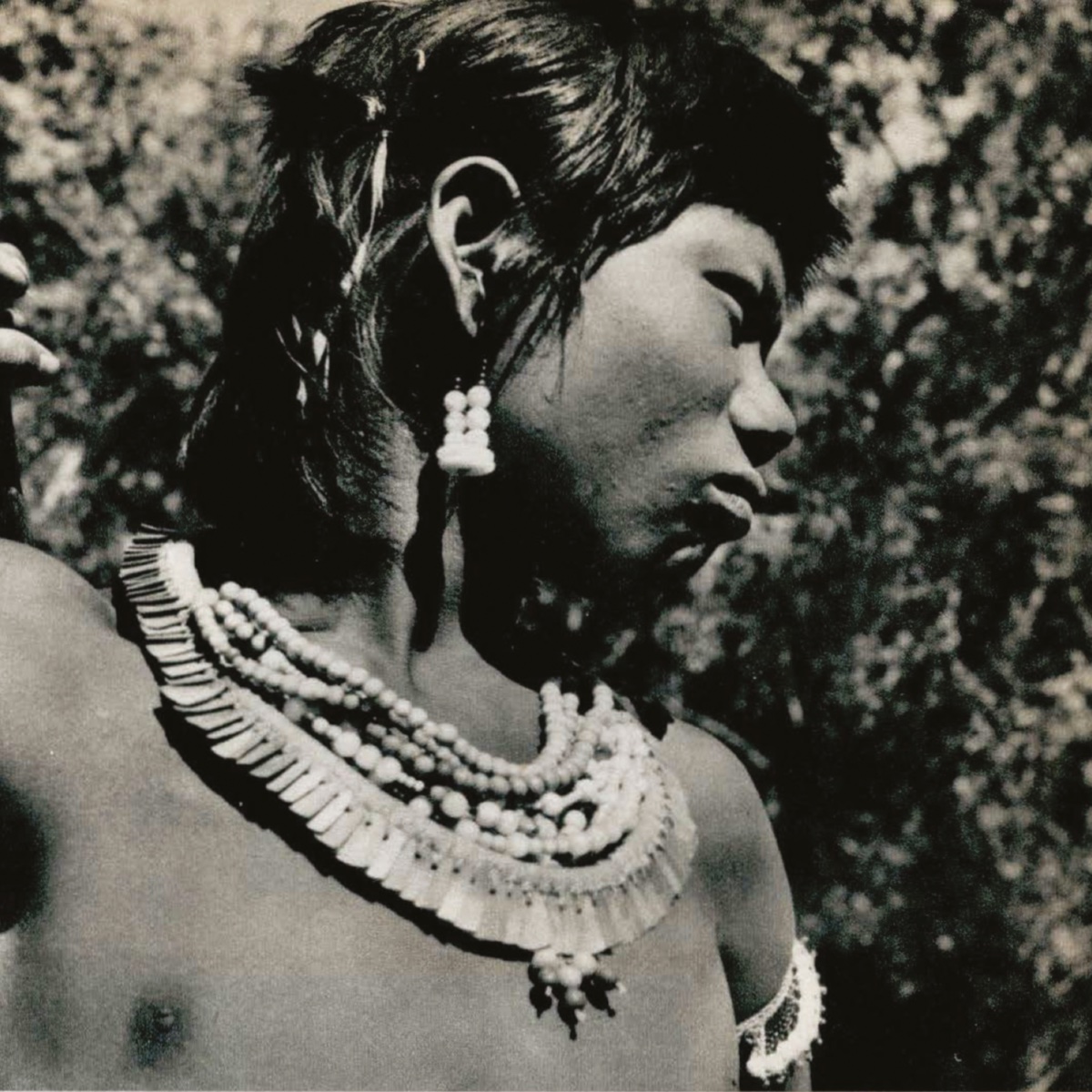 Ngob Man's Ornament - Kayapo Indians, States Of Pará And Mato Grosso, XIngu River Valley-photo-2