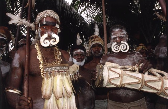 Nose Ornament Called Bipane - Asmat Culture, Papua New Guinea - First Half Of The 20th Century -photo-1