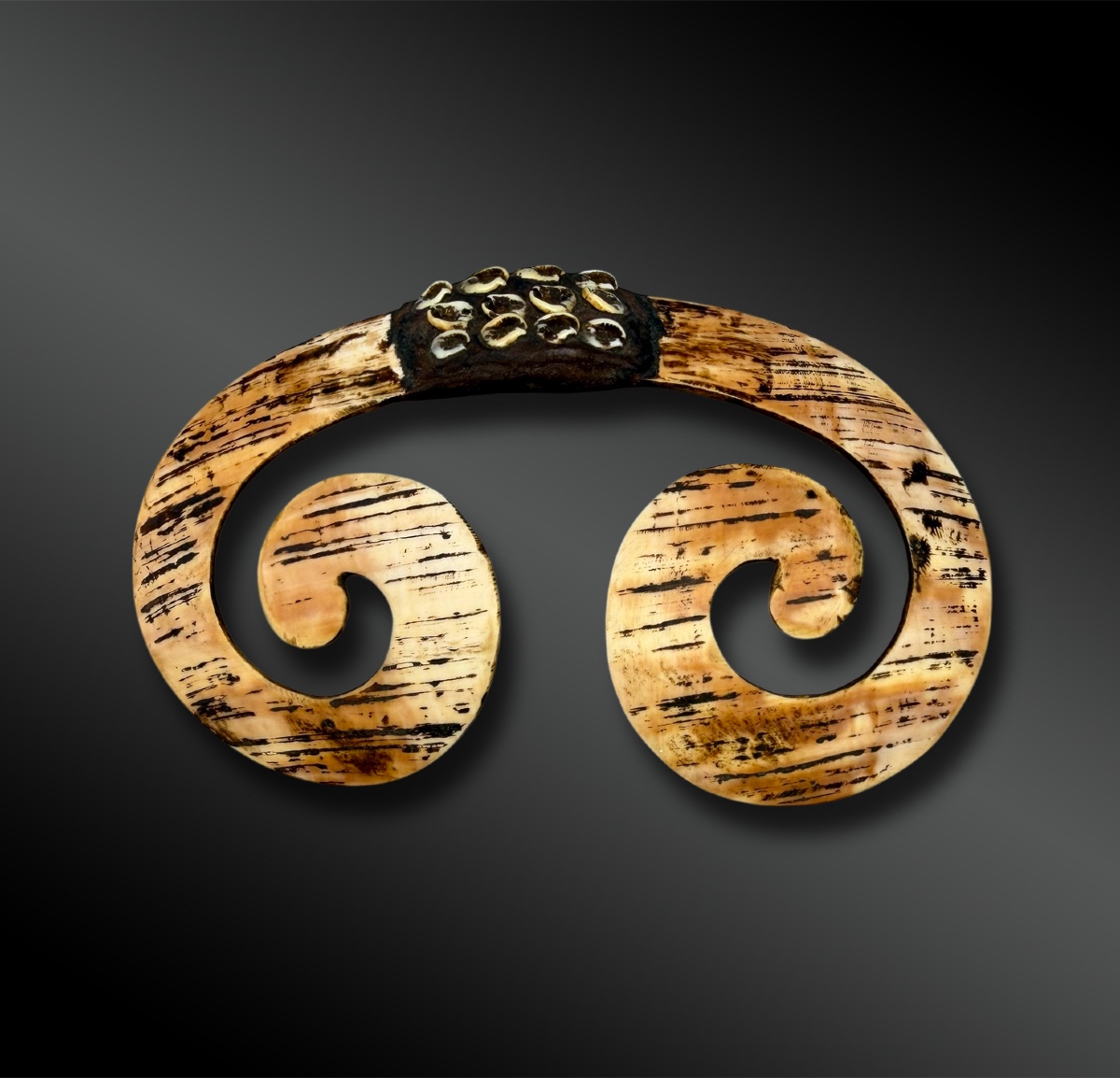 Nose Ornament Called Bipane - Asmat Culture, Papua New Guinea - First Half Of The 20th Century 