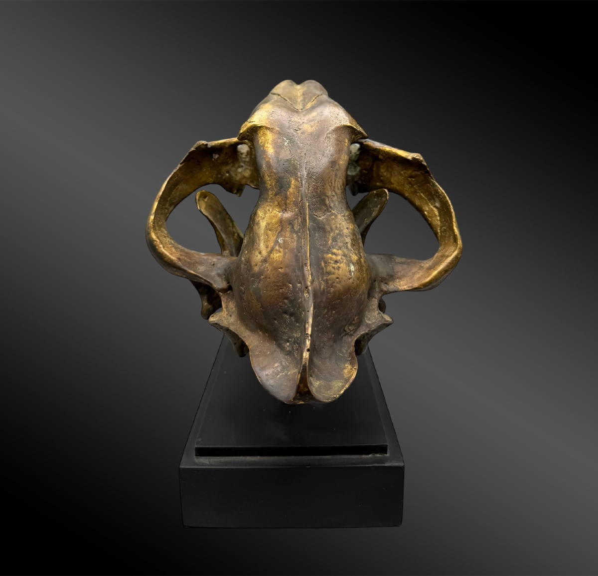 Tiger Skull - Europe - 20th Century-photo-4