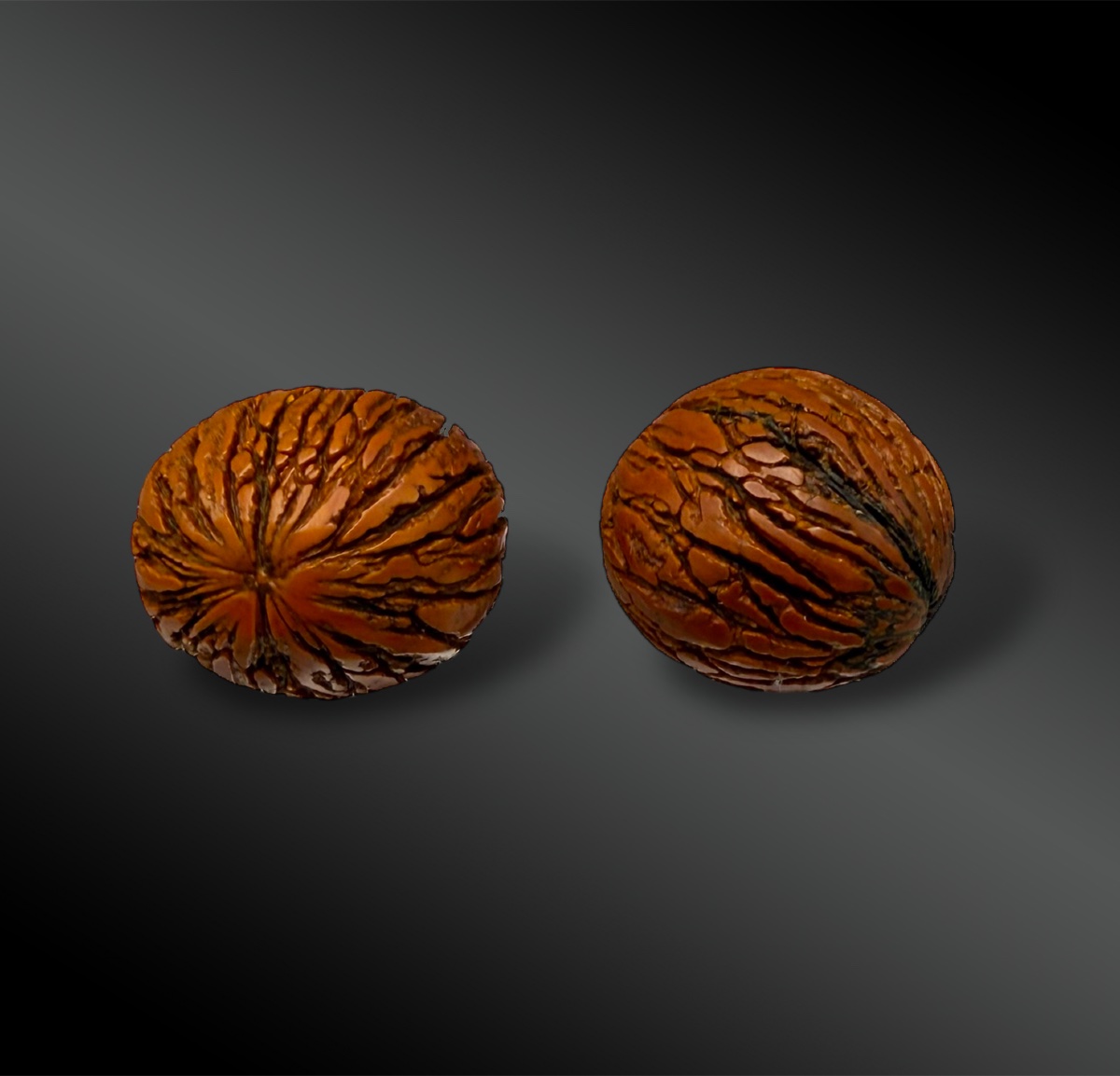 ENSEMBLE de deux noix - Japon ? - XVIIIème siècle-photo-2