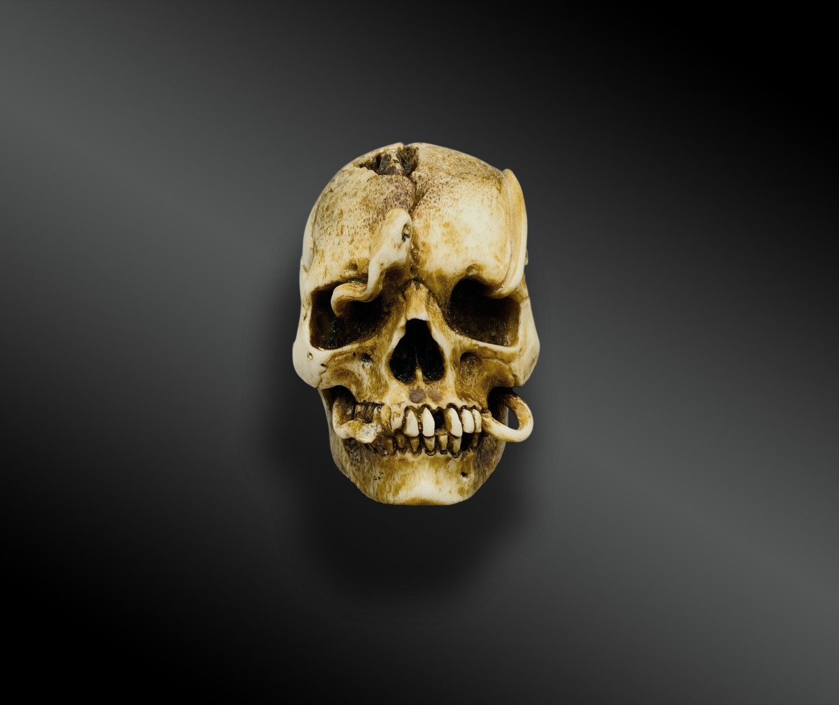 MEMENTO MORI – CRÂNE AU SERPENT- VANITÉ-photo-2