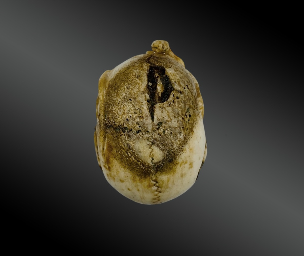 MEMENTO MORI – CRÂNE AU SERPENT- VANITÉ-photo-4