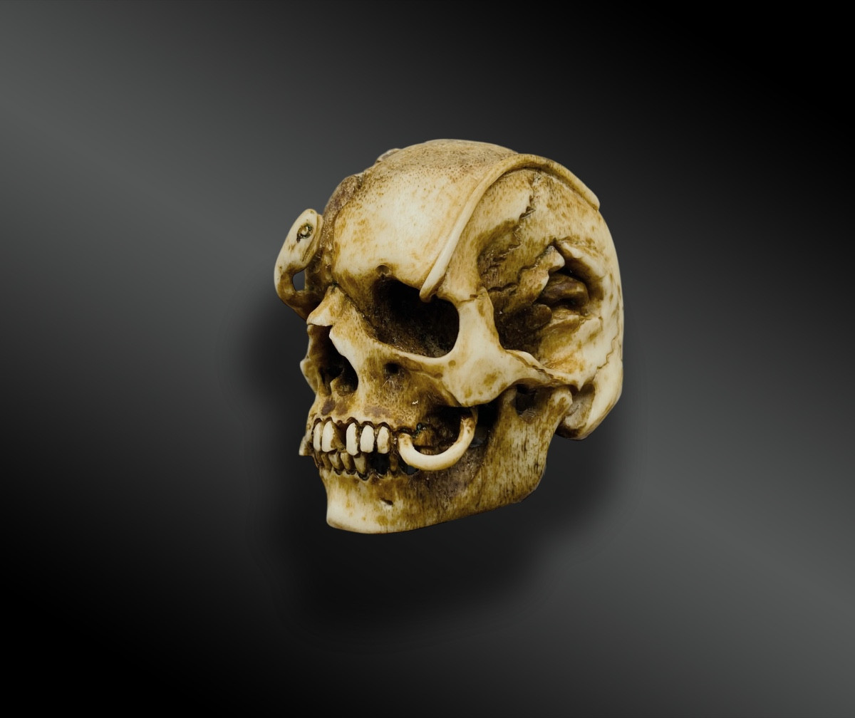 MEMENTO MORI – CRÂNE AU SERPENT- VANITÉ