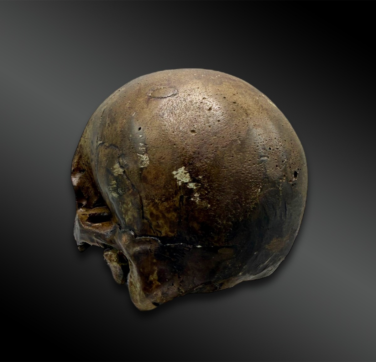 MEMENTO MORI – CRANE - VANITÉ - Europe - XXème siècle-photo-4