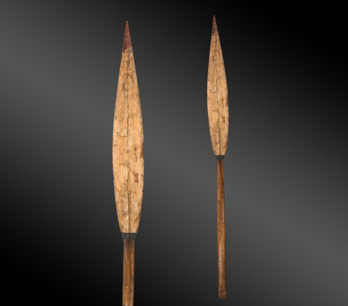 PAGAIE DE DANSE  Archipel des Îles Salomon. Île Buka. Nord Bougainville, Mélanésie-photo-3