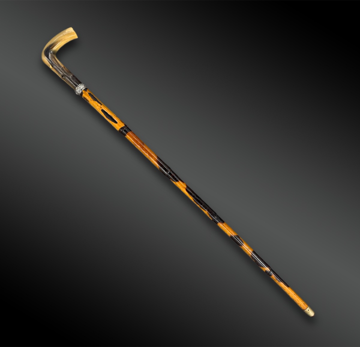 CANNE à système - Europe - Vers 1900-photo-3