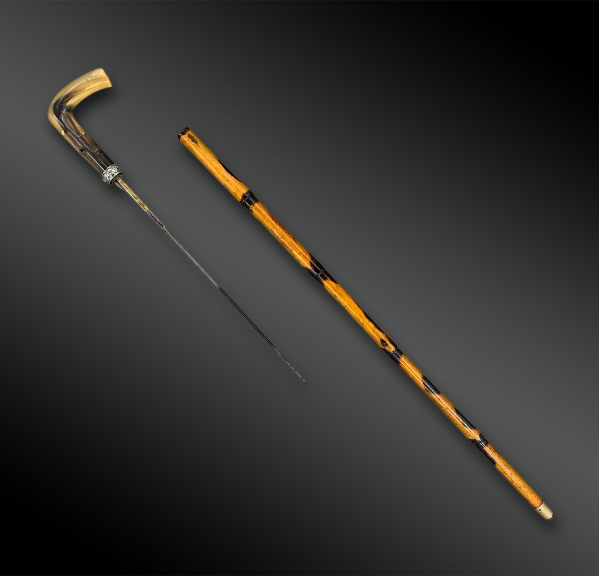 CANNE à système - Europe - Vers 1900