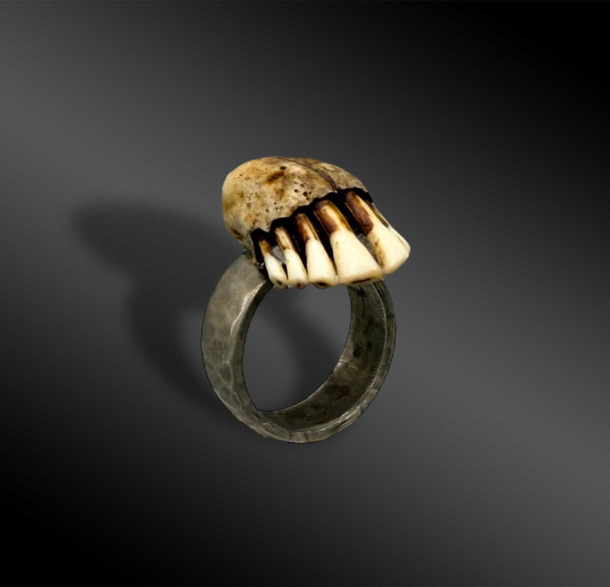 BAGUE - France-photo-2