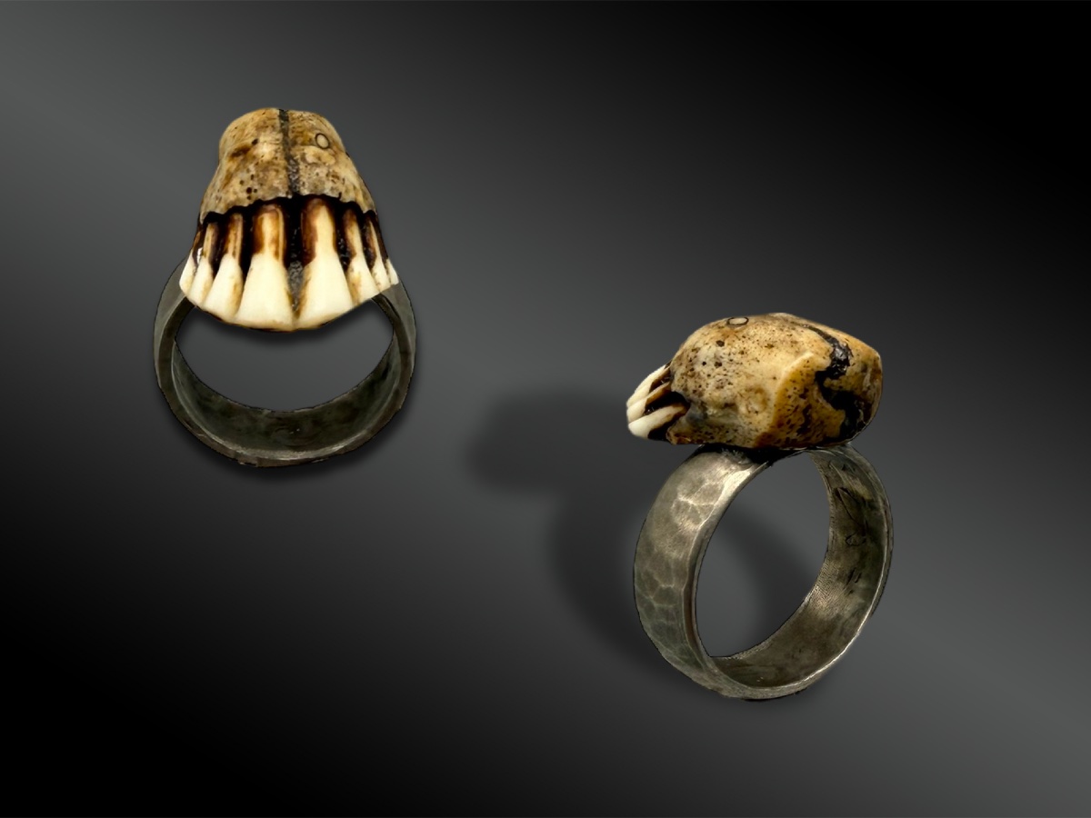 BAGUE - France-photo-3