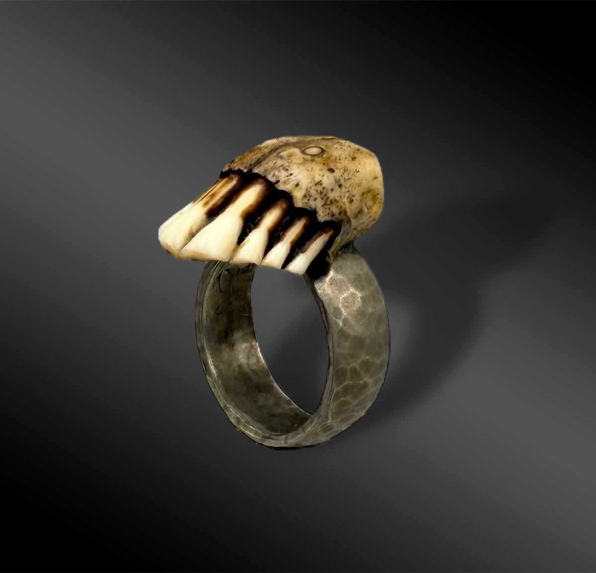 BAGUE - France