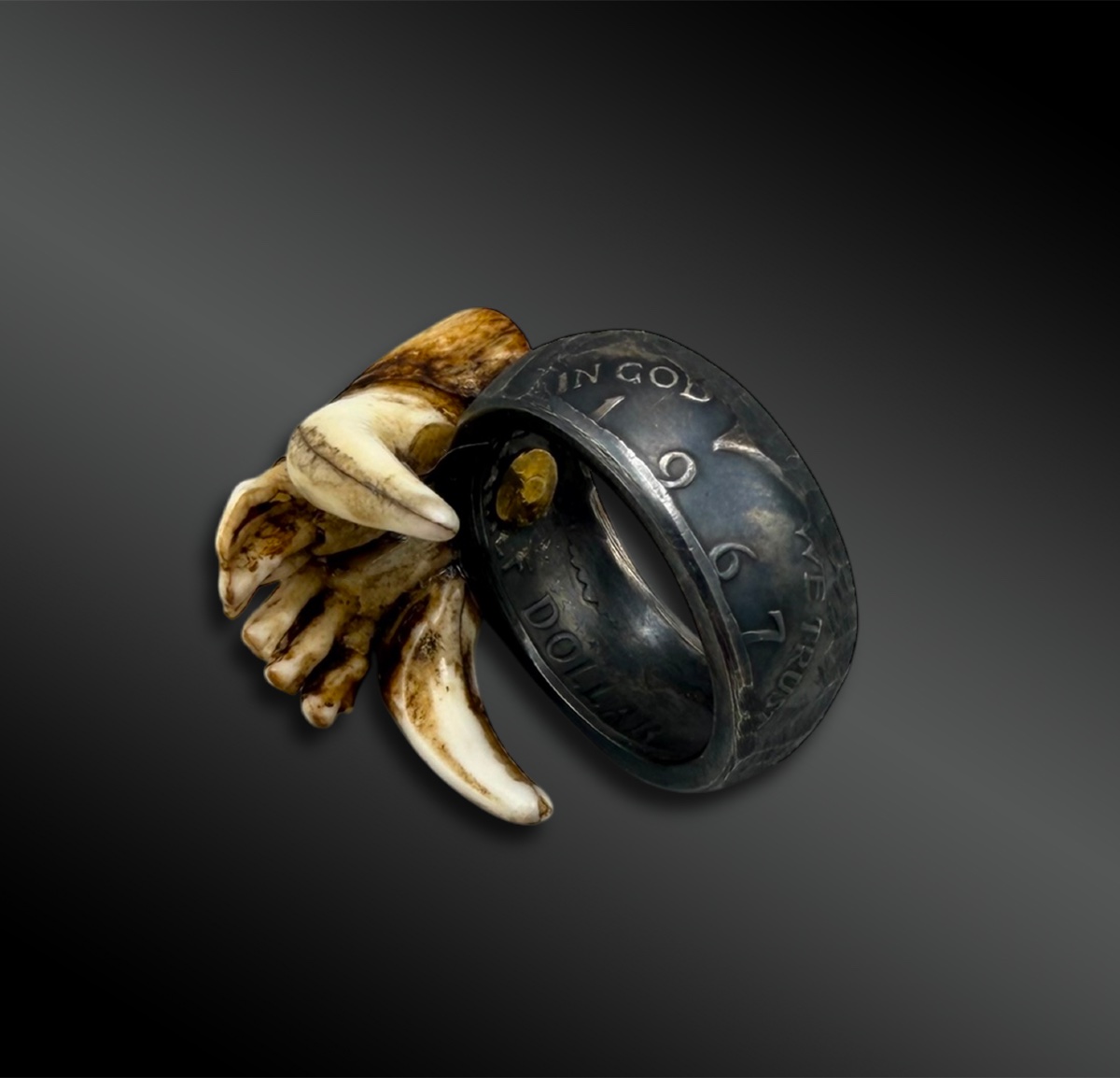 BAGUE - France-photo-3