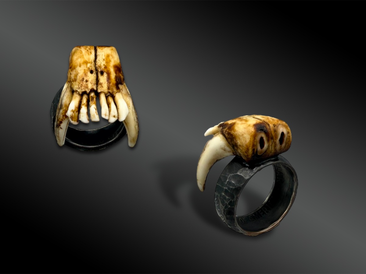 BAGUE - France-photo-4