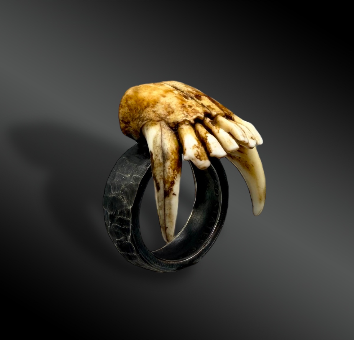 BAGUE - France