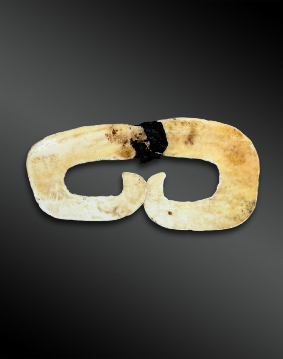 ORNEMENT de NEZ appelé Bipane Culture Asmat, Papouasie  Coquillage, résine et fibres végétales -photo-2