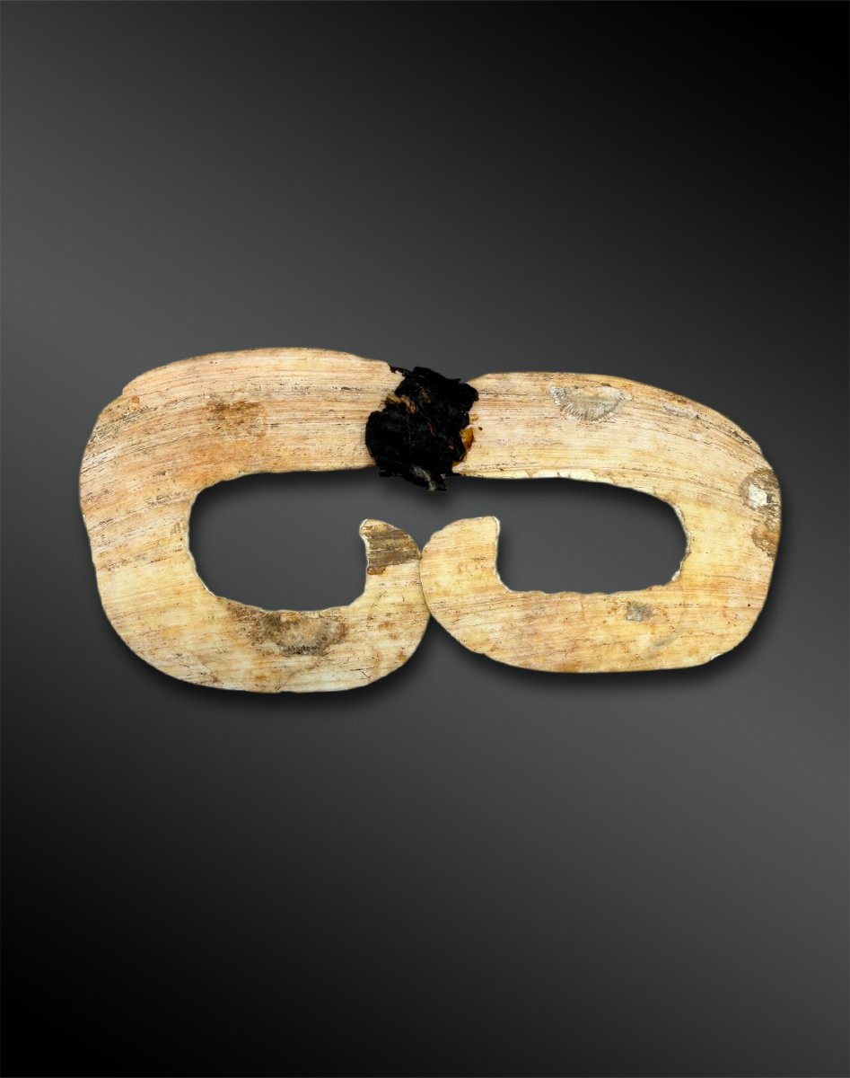 ORNEMENT de NEZ appelé Bipane Culture Asmat, Papouasie  Coquillage, résine et fibres végétales 