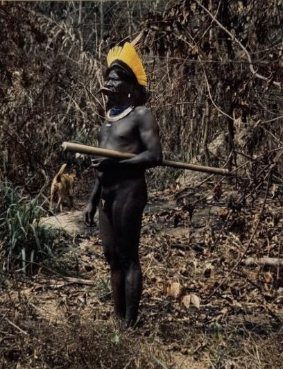 Jean-pierre Dutilleux (b. 1949) Portrait En Pied d'Homme Kayapo (full-length Portrait Of A Kayapo Man), 1990 Photographie Signée Et