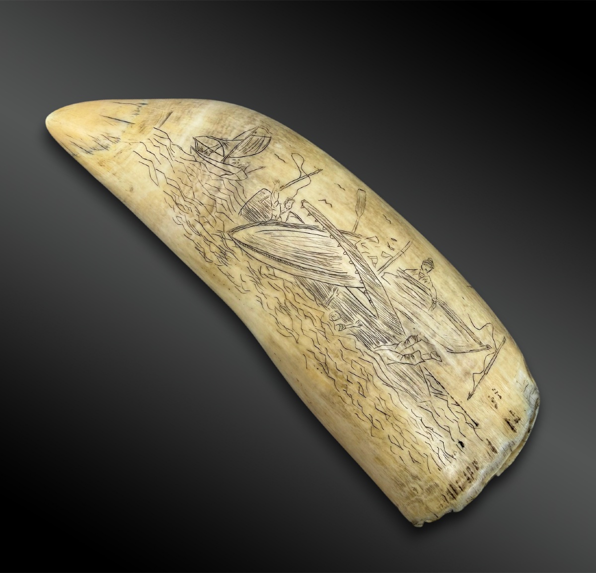 SCRIMSHAW - Europe - XIXème siècle-photo-3