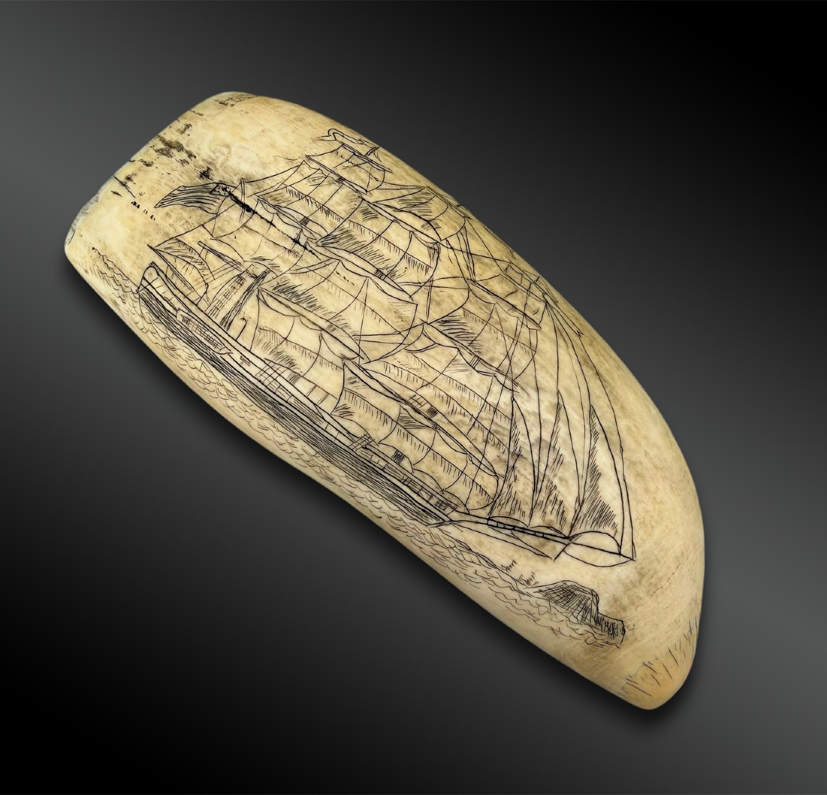 SCRIMSHAW - Europe - XIXème siècle