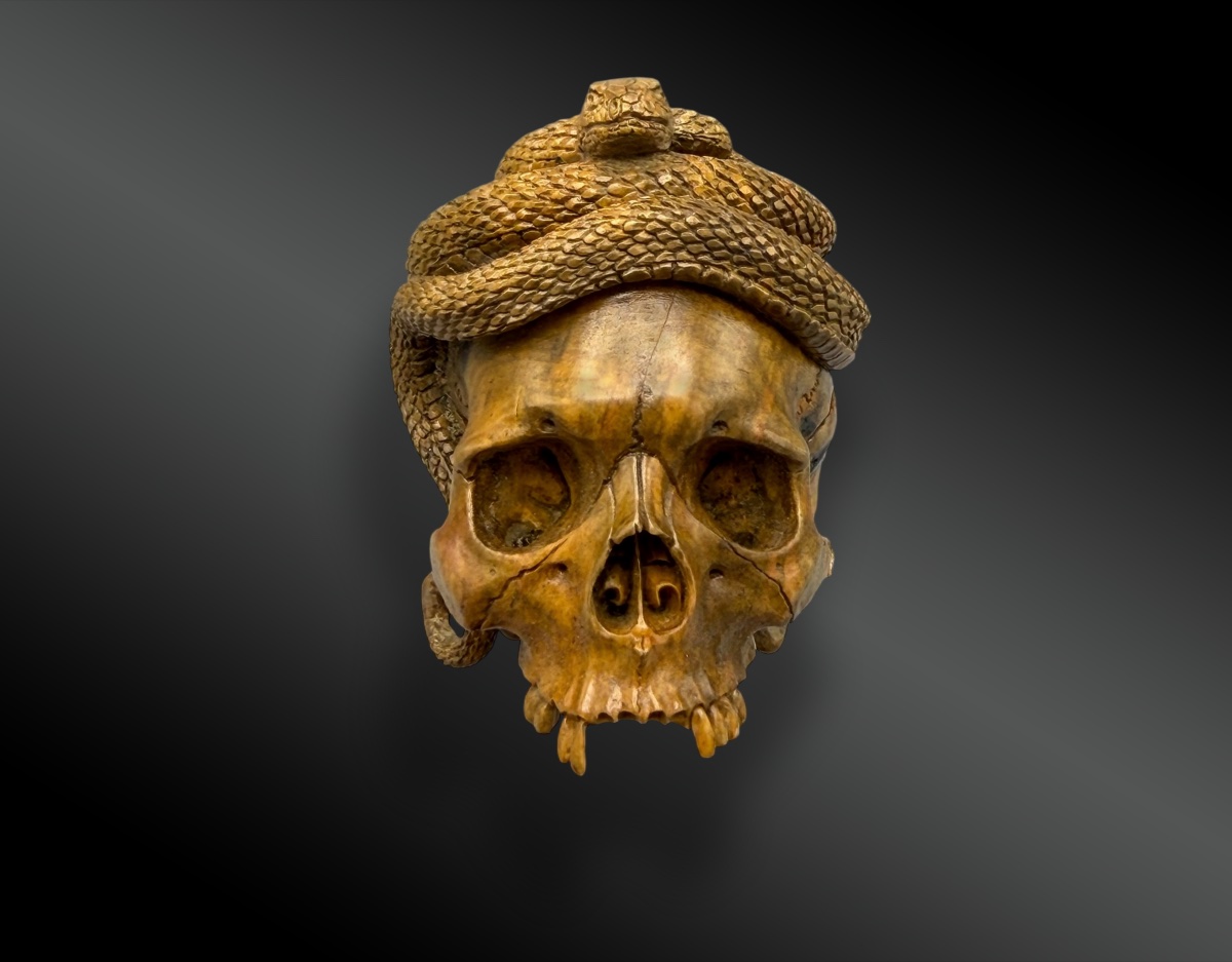 MEMENTO MORI – CRANE – VANITÉ AU SERPENT-photo-2