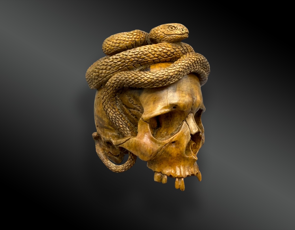 MEMENTO MORI – CRANE – VANITÉ AU SERPENT-photo-3