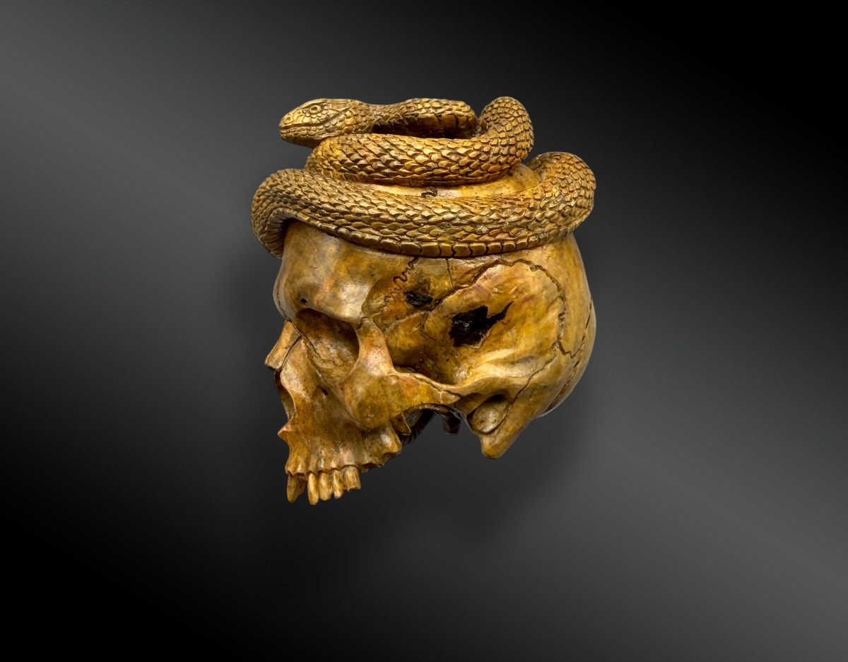 MEMENTO MORI – CRANE – VANITÉ AU SERPENT-photo-4