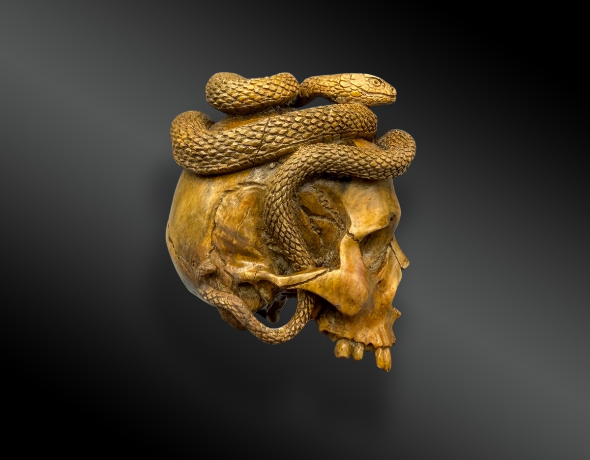 MEMENTO MORI – CRANE – VANITÉ AU SERPENT-photo-1
