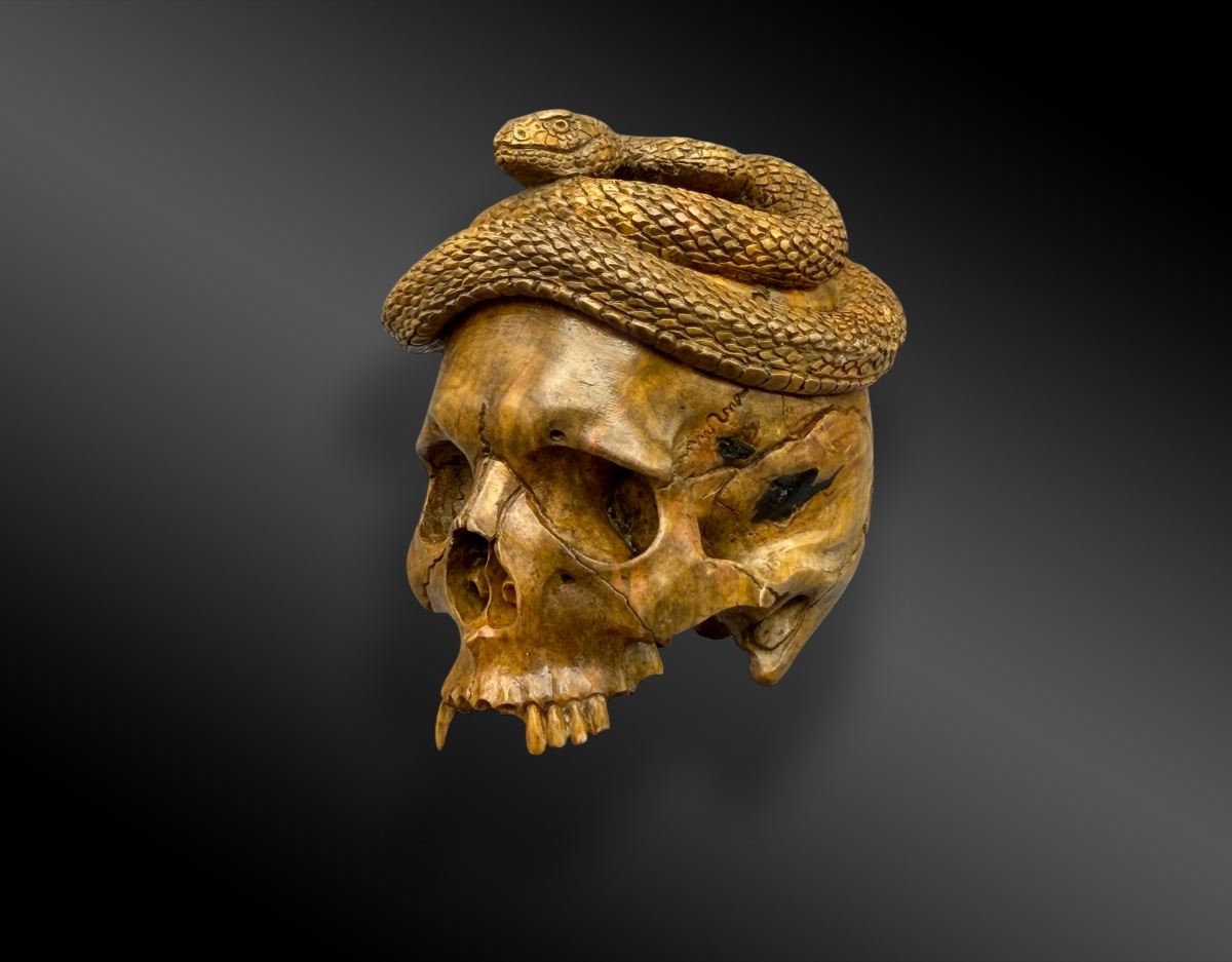 MEMENTO MORI – CRANE – VANITÉ AU SERPENT