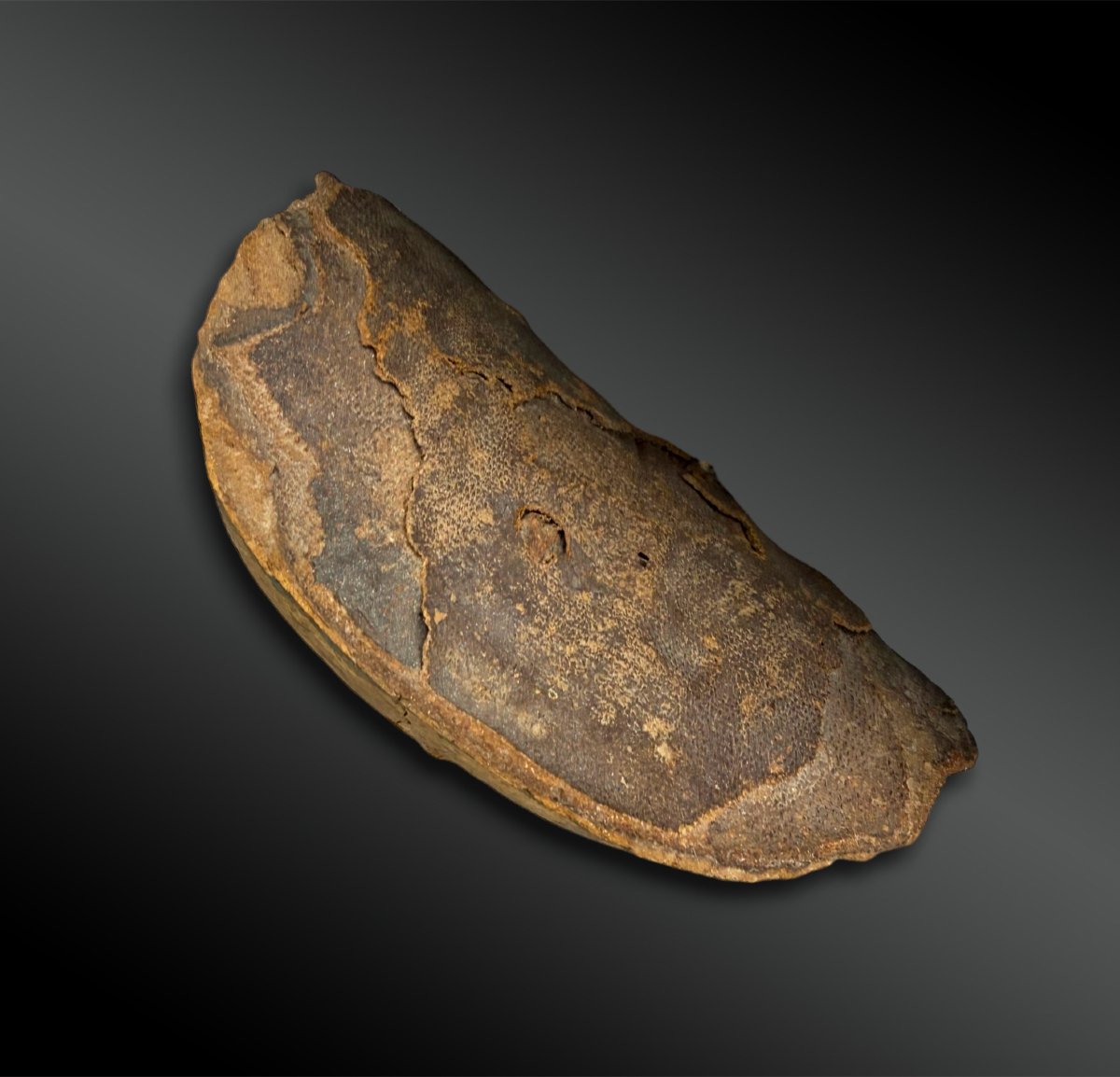 Mummy Mask - Egypt - New Kingdom Or Third Intermediate Period (1292–664 B.c.)-photo-4