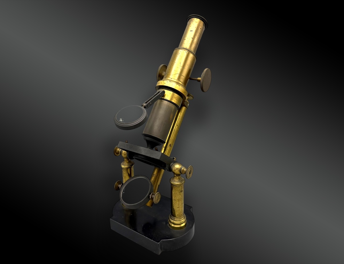 Dual-column Study Microscope