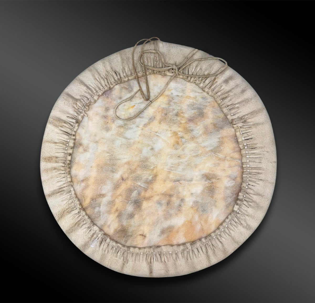 Shield - Dakota Or Cheyenne Indians, Sioux, Plains Region, North America-photo-4