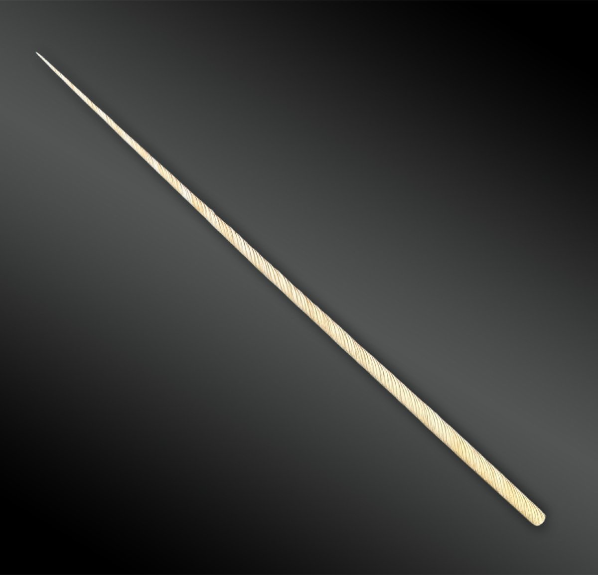 Monoceros Narwhal Tooth - France - 20th Century
