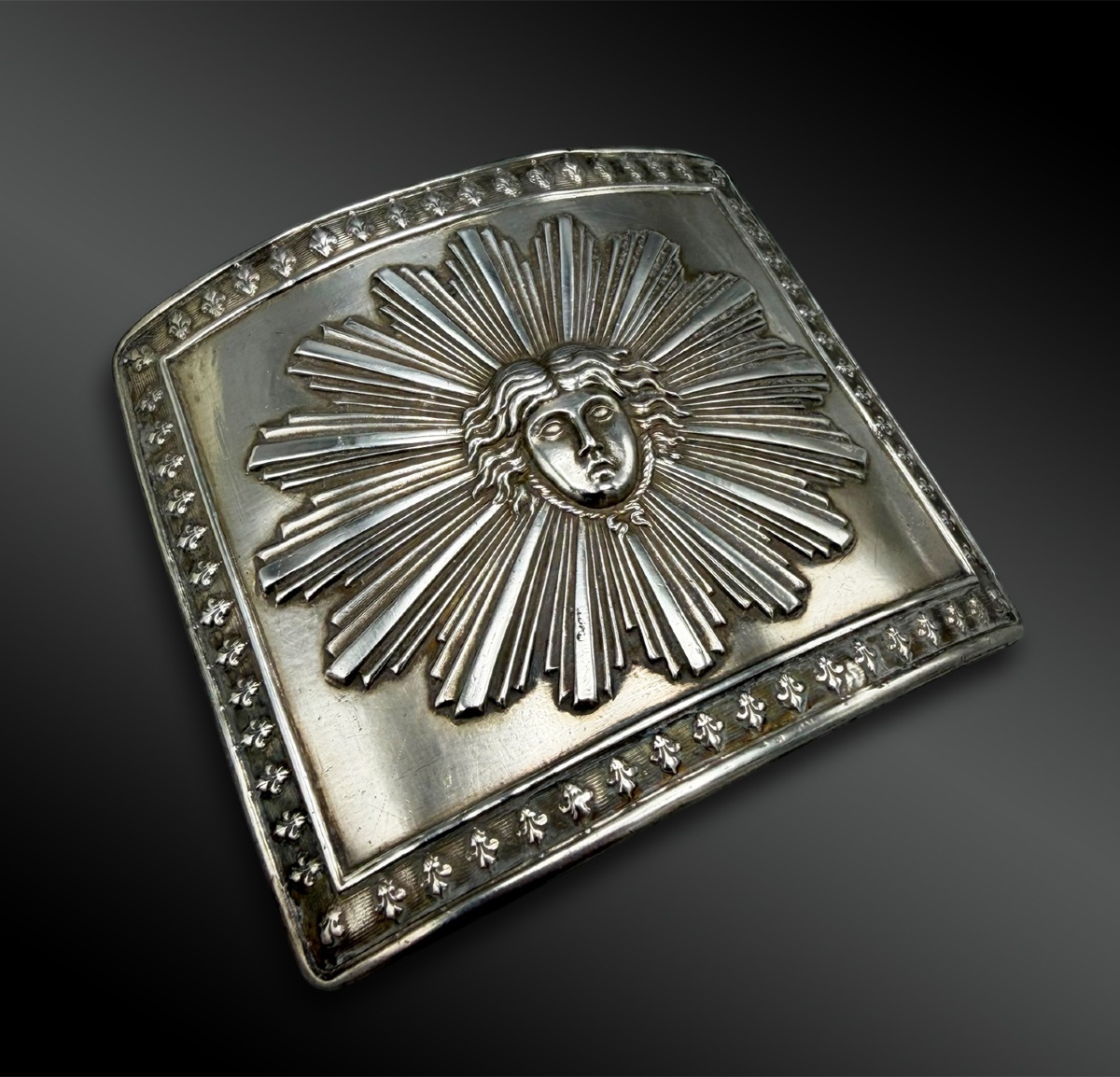 Belt Plate Of The King's Bodyguard, Model 1814 - France - Restoration-photo-2