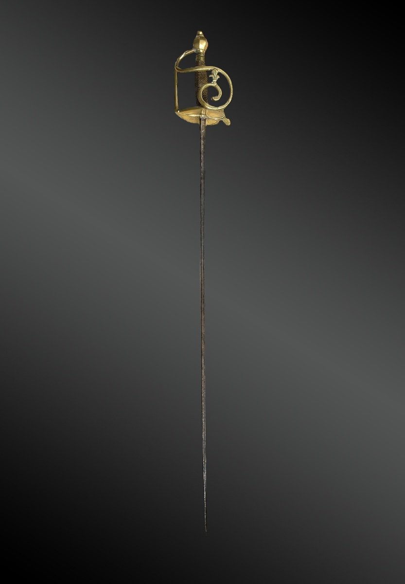 Sabre D’officier Des Dragons, Modèle 1750, Garde à La Fleur De Lys. France, période Louis XV-photo-4