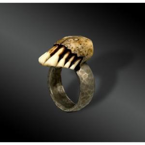 Ring - France