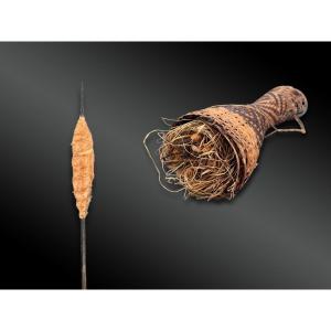 Petit CARQUOIS en fibres tressées à FLÉCHETTES pour la chasse Indiens Kayapo coll. Dutilleux