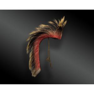 Indian Headdress, Roach—plains Indians, North America