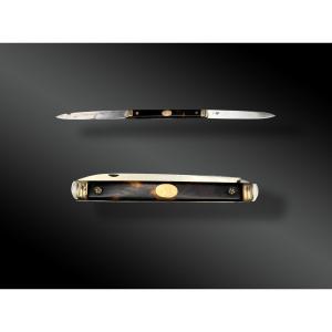 Folding Knife With Forced-opening Sides And Two Opposing Blades