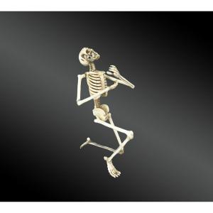 Vanité Figurant Un Squelette à Genou - XXème Siècle 