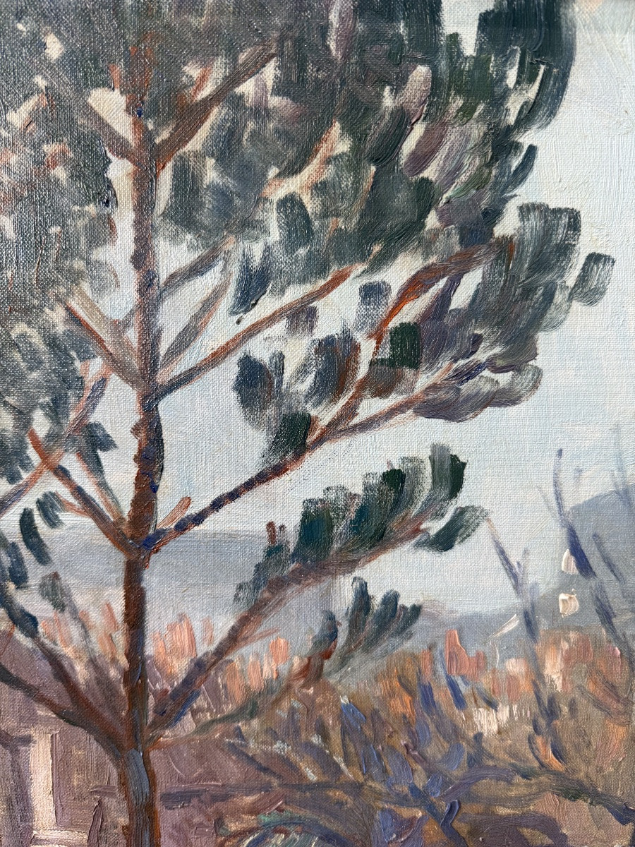 Countryside Promenade On The Côte d'Azur -photo-5