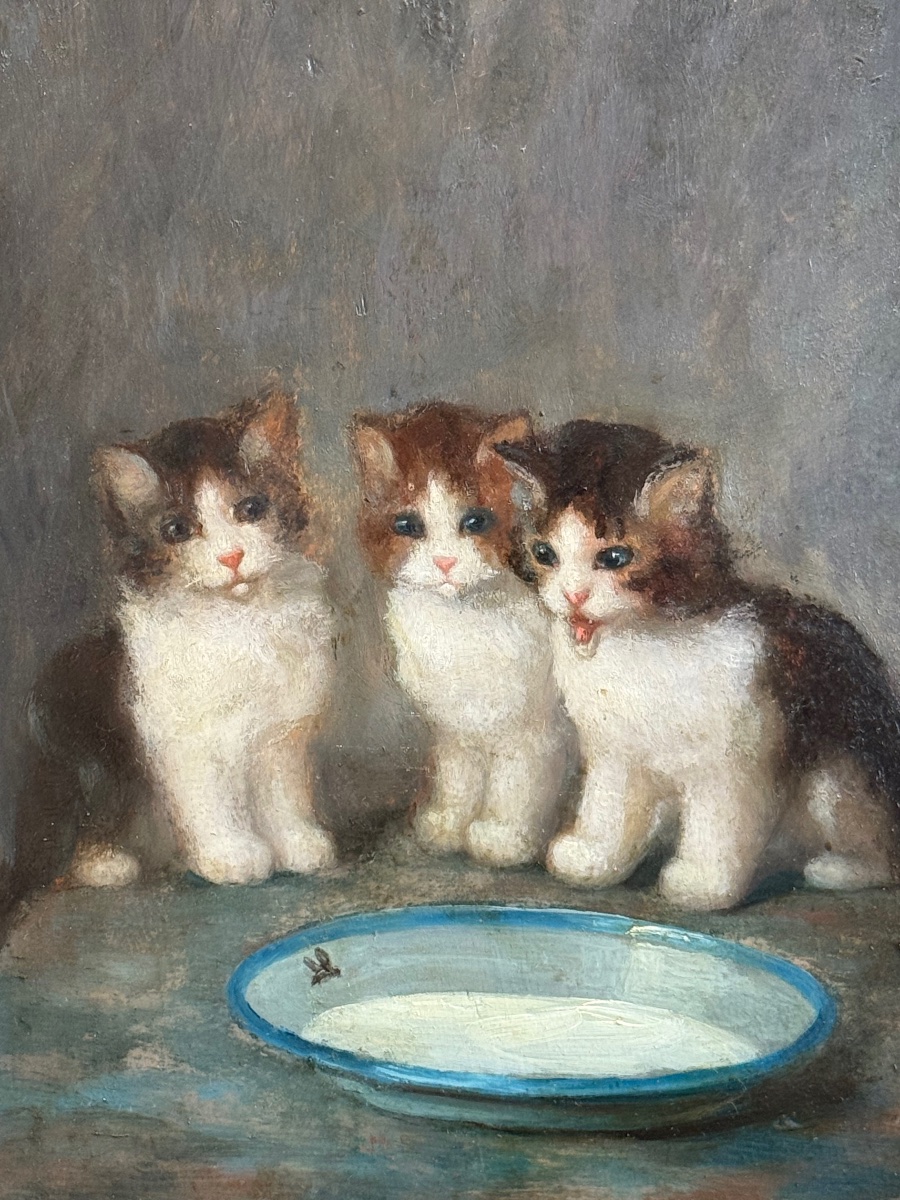 Charmante scène animalière du XIXe siècle – Trois chatons autour d’une écuelle -photo-2